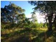 325 Brush Road, Ourimbah NSW 2258