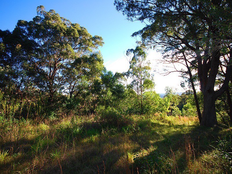325 Brush Road, Ourimbah NSW 2258