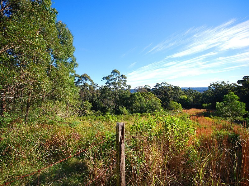 325 Brush Road, Ourimbah NSW 2258