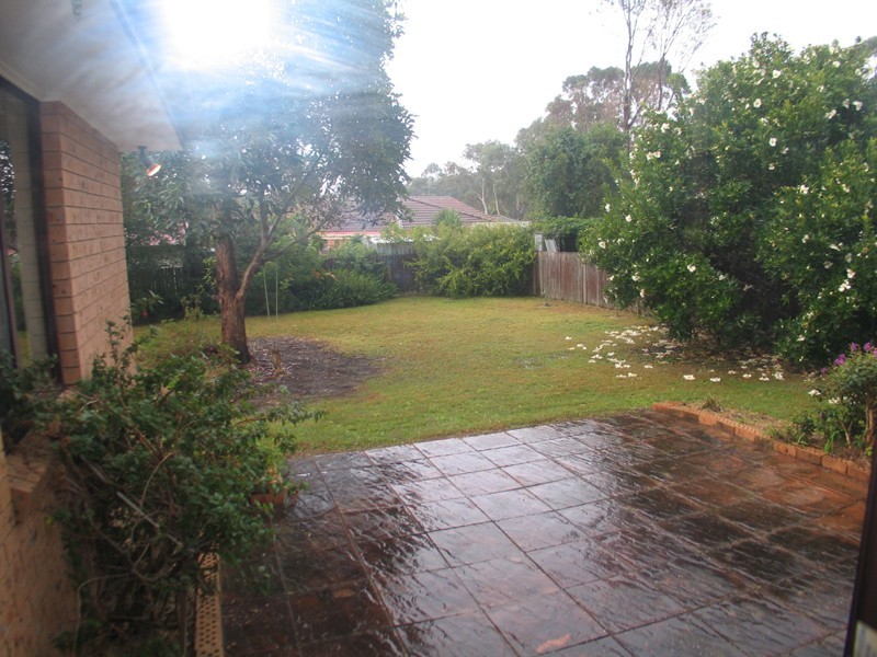 46 Hempstalk Crescent, Kariong NSW 2250