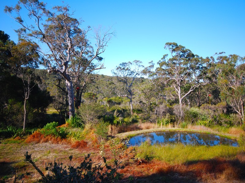 596 Wisemans Ferry Road, Somersby NSW 2250