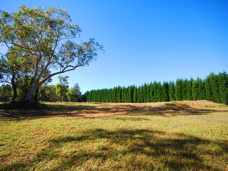 1372 Peats Ridge Road, Peats Ridge NSW 2250