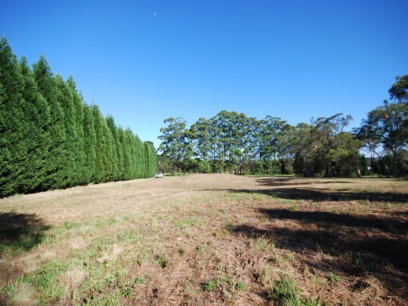 1372 Peats Ridge Road, Peats Ridge NSW 2250