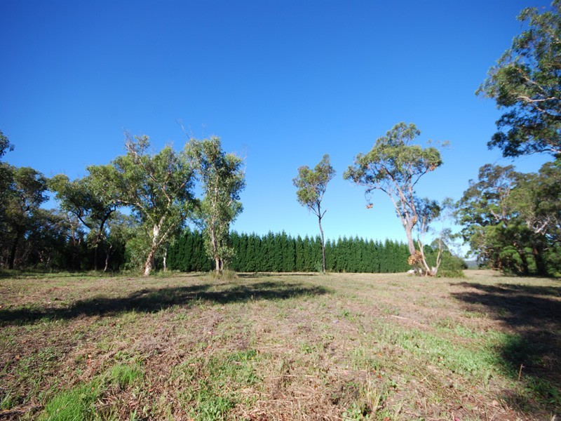 1372 Peats Ridge Road, Peats Ridge NSW 2250