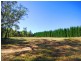 1372 Peats Ridge Road, Peats Ridge NSW 2250