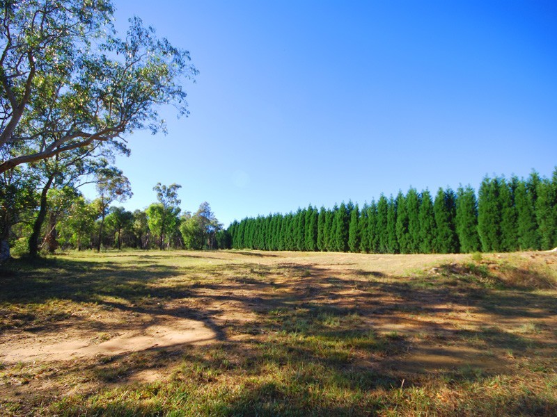 1372 Peats Ridge Road, Peats Ridge NSW 2250