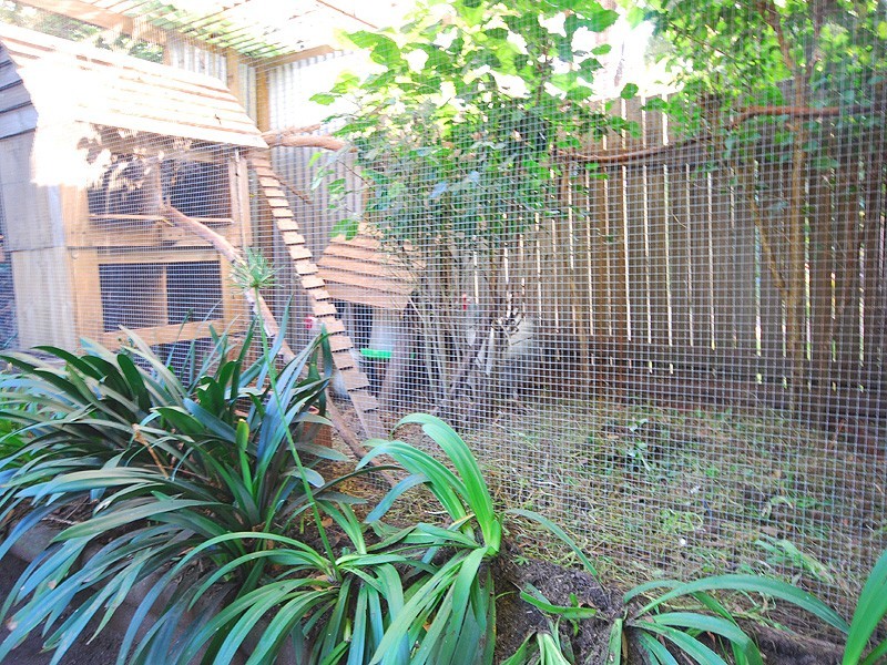 16 Follan Close, Kariong NSW 2250