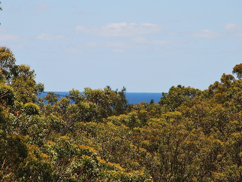 10 Blue View Crescent, Terrigal NSW 2260