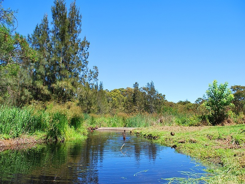 12 Jeffs Close, Kariong NSW 2250