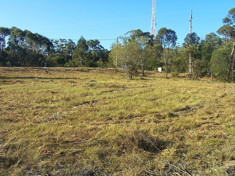 Somersby NSW 2250