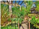 21 Conroy Crescent, Kariong NSW 2250