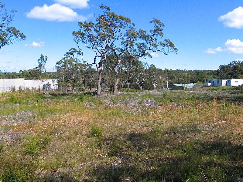 Somersby NSW 2250