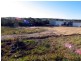 Somersby NSW 2250