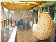 Kincumber NSW 2251