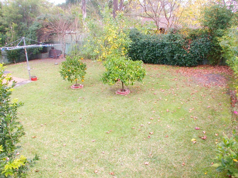 Kincumber NSW 2251