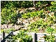 Copacabana NSW 2251