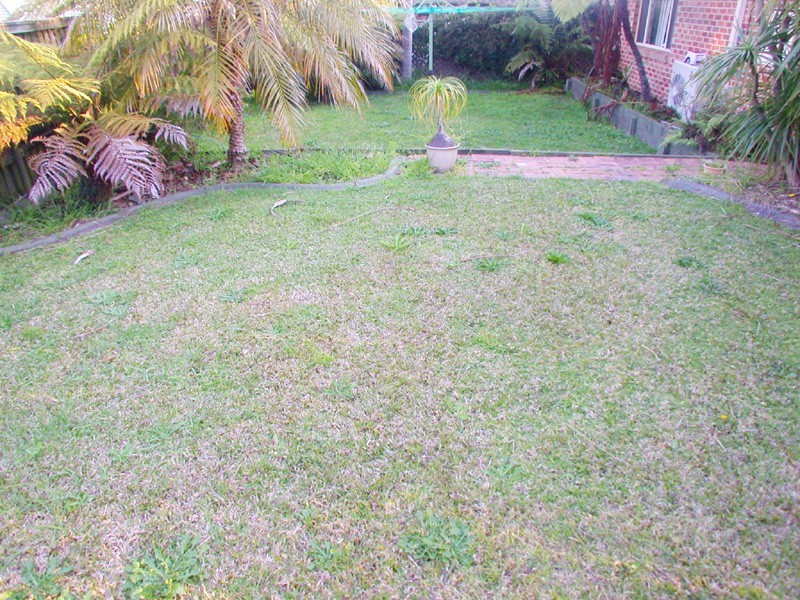 Kincumber NSW 2251