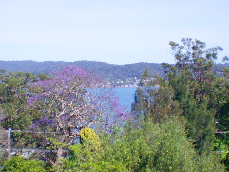 Green Point NSW 2251