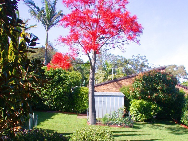 Green Point NSW 2251