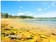 Avoca Beach NSW 2251
