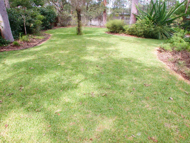 Kincumber NSW 2251