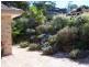 Macmasters Beach NSW 2251