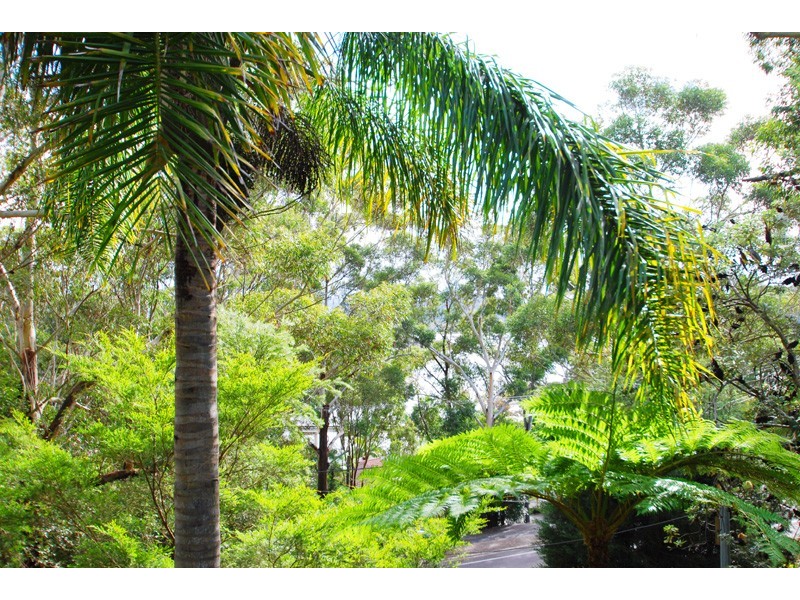 19 Daley Ave, Daleys Point NSW 2257