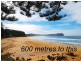 Macmasters Beach NSW 2251