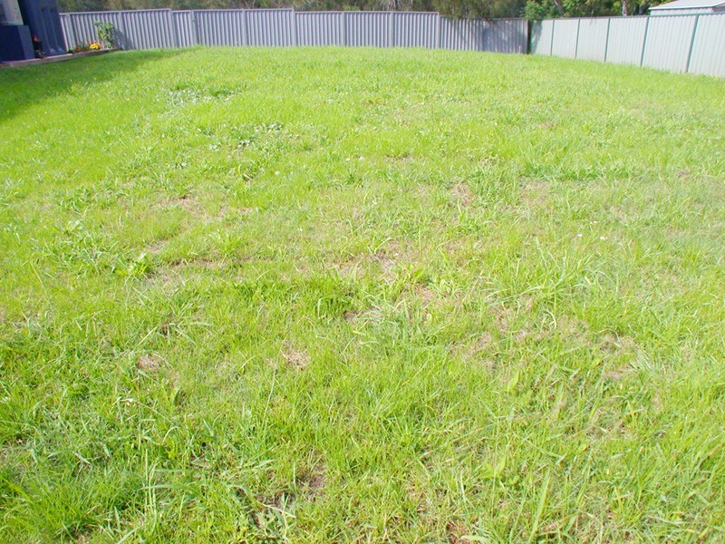 17A Magnolia Ave, Davistown NSW 2251