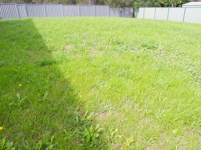 17A Magnolia Ave, Davistown NSW 2251