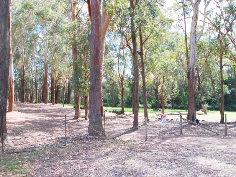 Kincumber NSW 2251