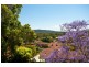 Green Point NSW 2251