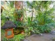 486 The Scenic Rd, Macmasters Beach NSW 2251