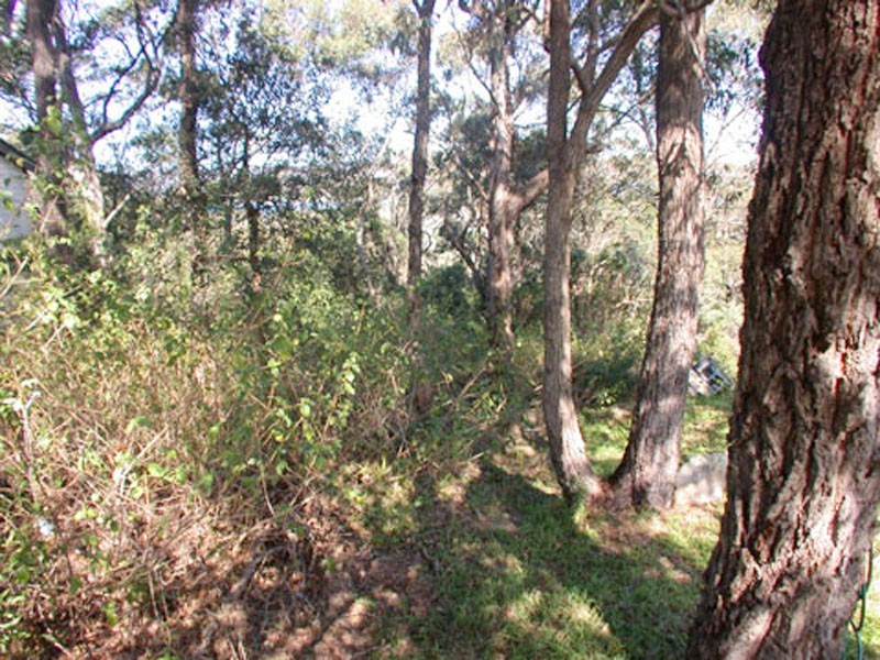 Saratoga NSW 2251