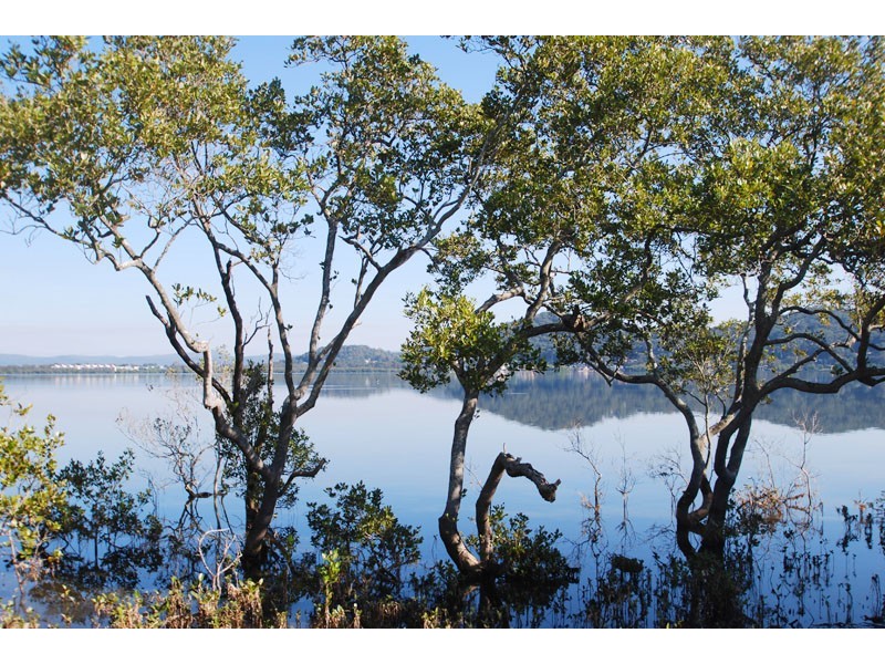 Kincumber NSW 2251