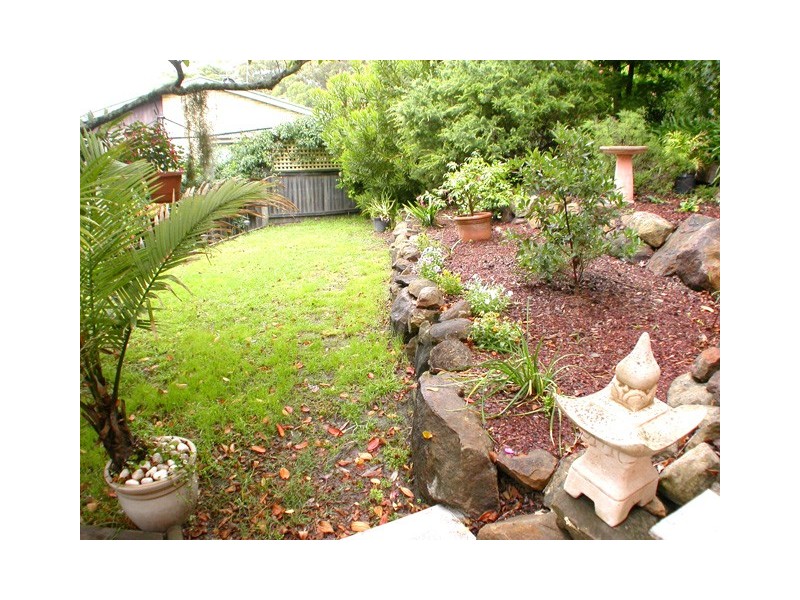 North Avoca NSW 2260