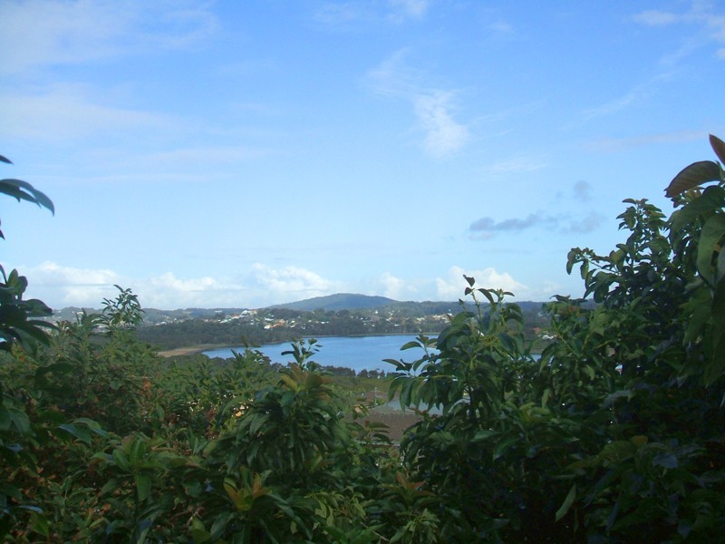 Forresters Beach NSW 2260