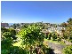 Terrigal NSW 2260