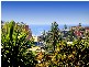Terrigal NSW 2260