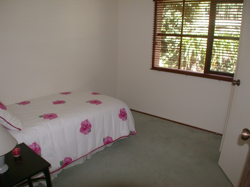 North Avoca NSW 2260