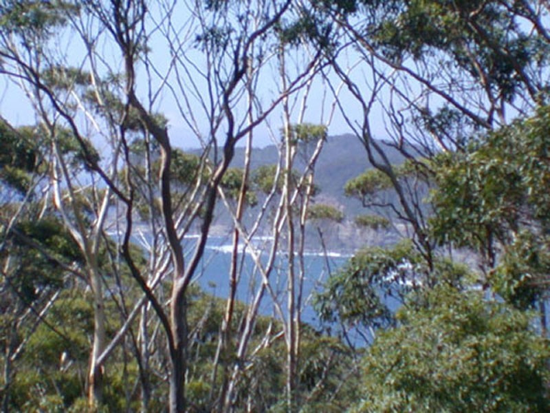Terrigal NSW 2260