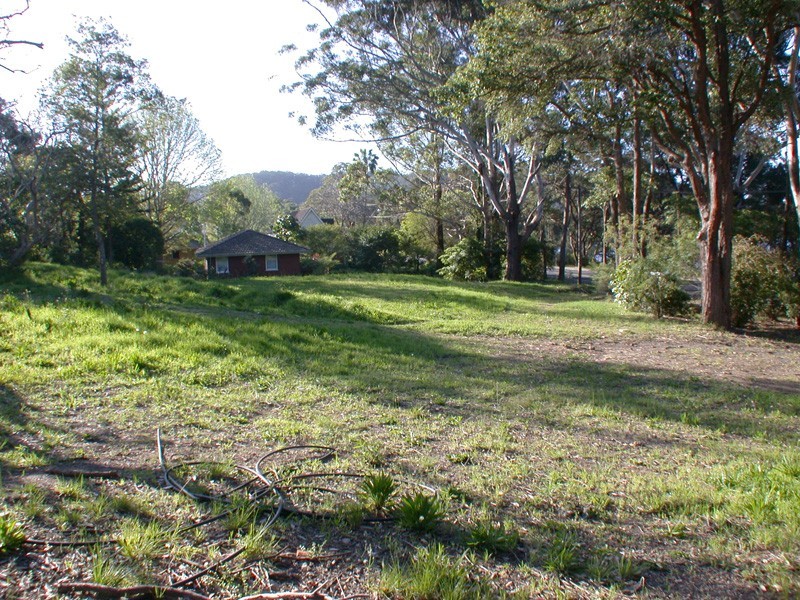 Wamberal NSW 2260