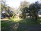 Wamberal NSW 2260