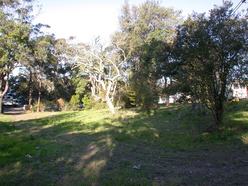 Wamberal NSW 2260