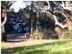 Wamberal NSW 2260