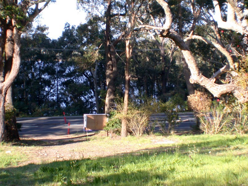 Wamberal NSW 2260