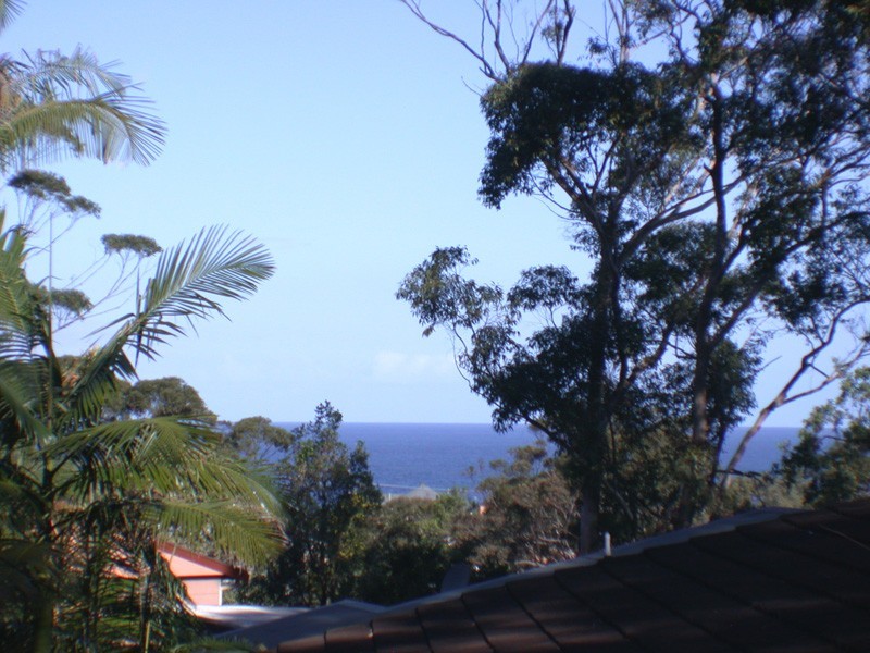 North Avoca NSW 2260