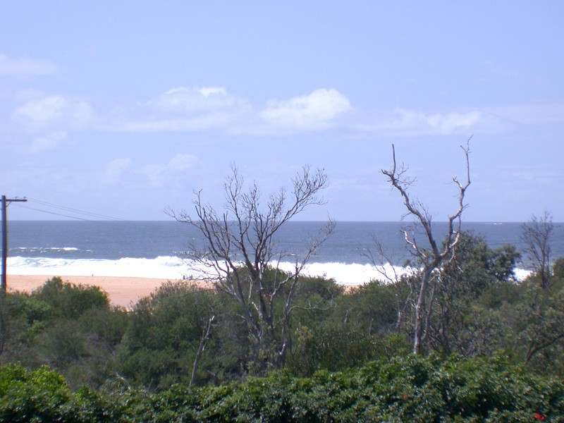 Wamberal NSW 2260