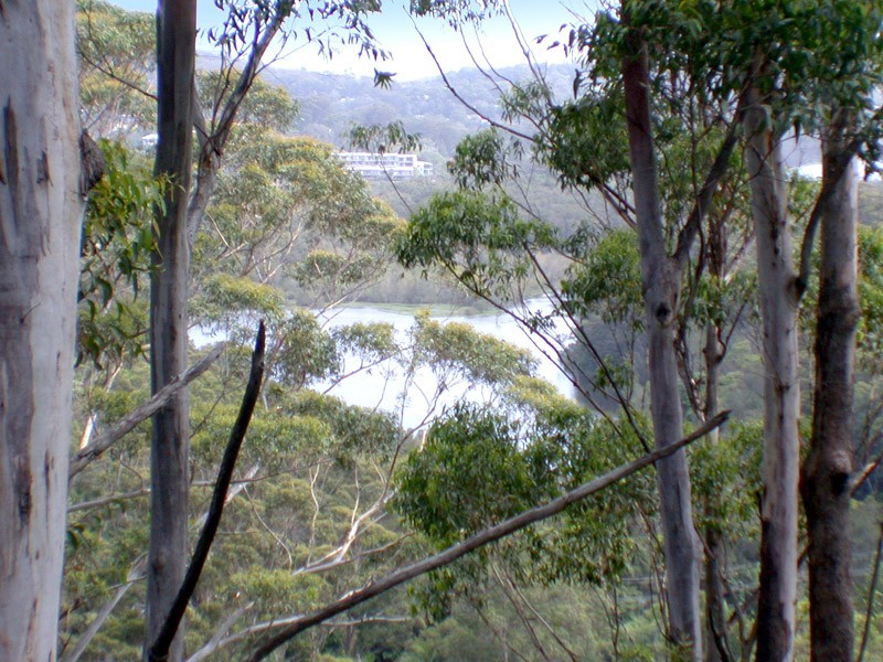 170 Scenic Highway, Terrigal NSW 2260