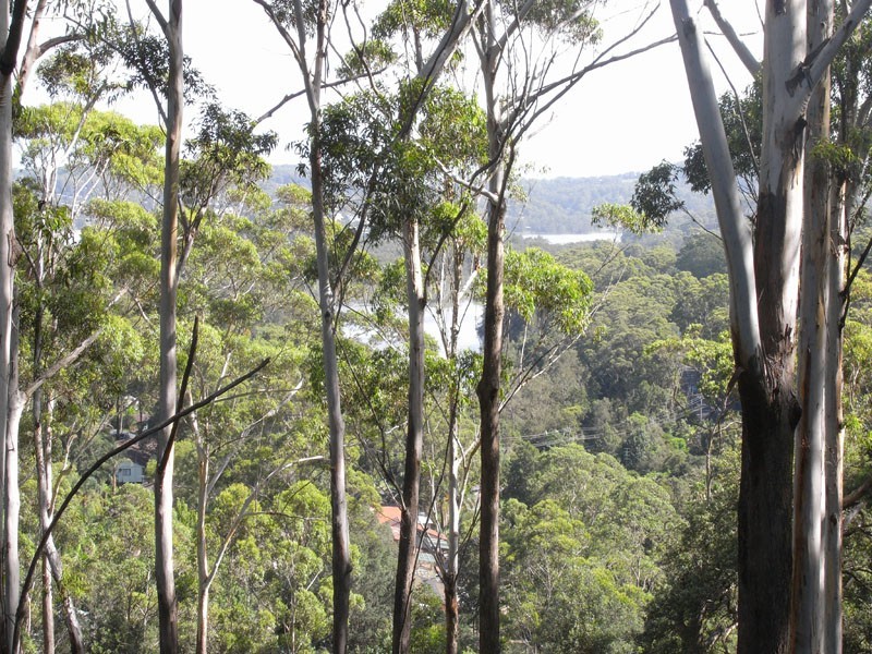 170 Scenic Highway, Terrigal NSW 2260